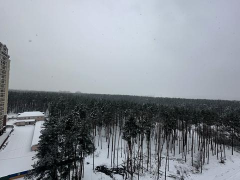 квартира по адресу Университетская ул., (Будинок 2)