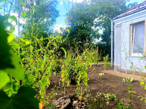 дом по адресу Садова