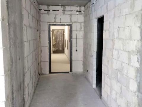 квартира по адресу Павла Чубинского ул., (Корпус «Тигр 2»)