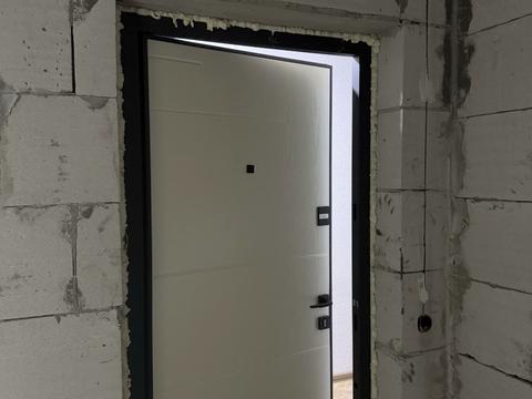 квартира по адресу Павла Чубинского ул., (Корпус «Тигр 2»)