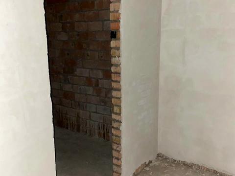 квартира по адресу Каменецкая ул., (Будинок)