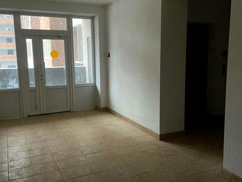 квартира по адресу Каменецкая ул., (Будинок)