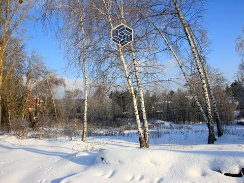 ділянка за адресою с. Гореничі, 