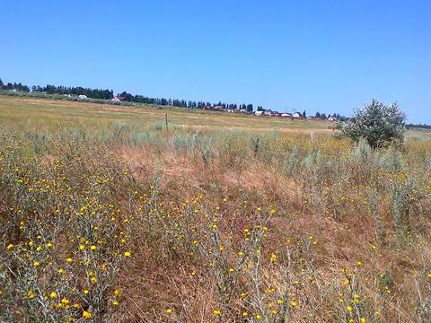 участок по адресу Робоча, 18