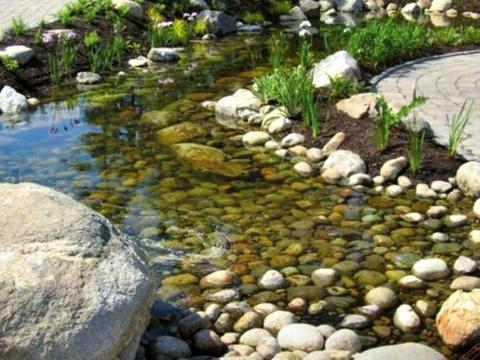 ділянка за адресою с. Шульгівка, лісна, 29