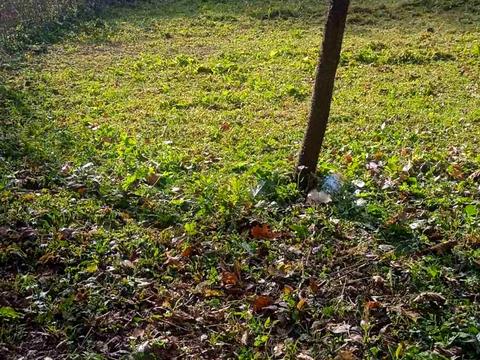 участок по адресу с. Павловка, 