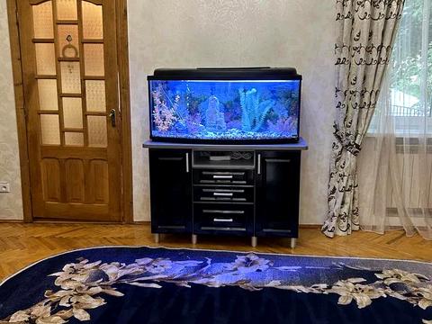 квартира за адресою Павла Римлянина вул., 12