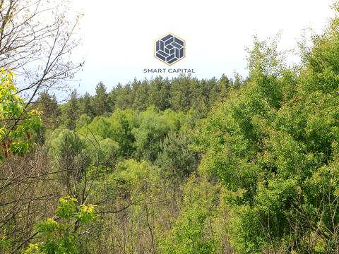 ділянка за адресою с. Гореничі, 