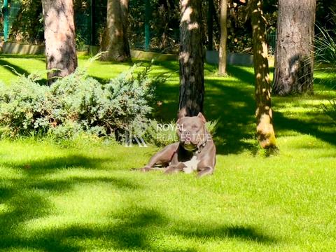 дом по адресу Київська