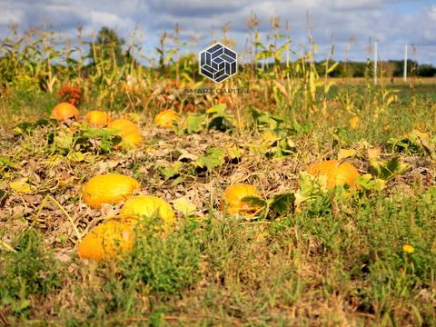 ділянка за адресою 