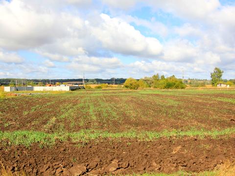 ділянка за адресою 