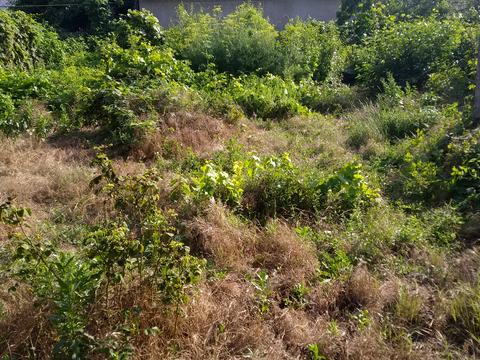 участок по адресу Костанди ул.