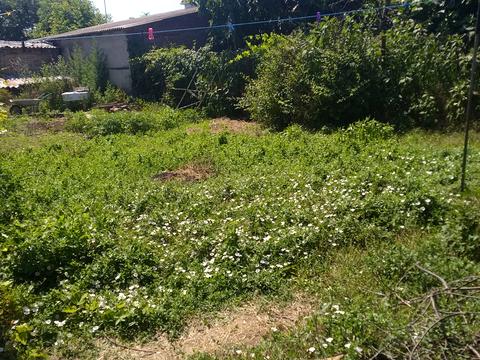 участок по адресу Костанди ул.