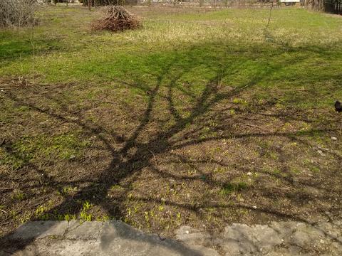 участок по адресу Костанди ул.