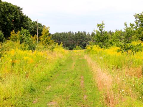 участок по адресу 