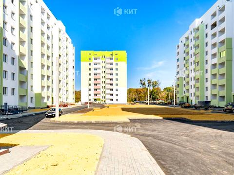 квартира за адресою Миру вул., 43