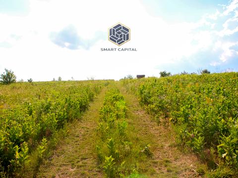 участок по адресу 