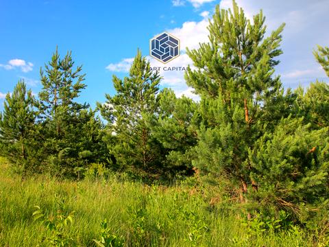 участок по адресу 