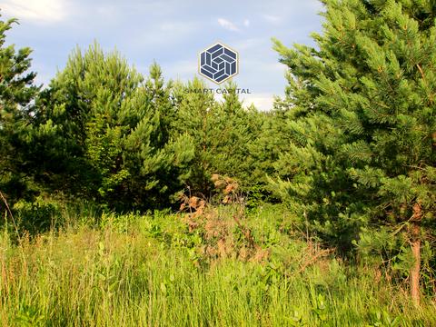 участок по адресу 