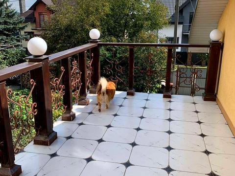 дом по адресу Юрія Липи, 11