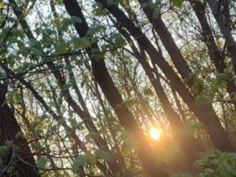 будинок за адресою Виноградна 2-га вул.