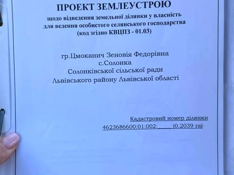 будинок за адресою Черемшинна вул., 29