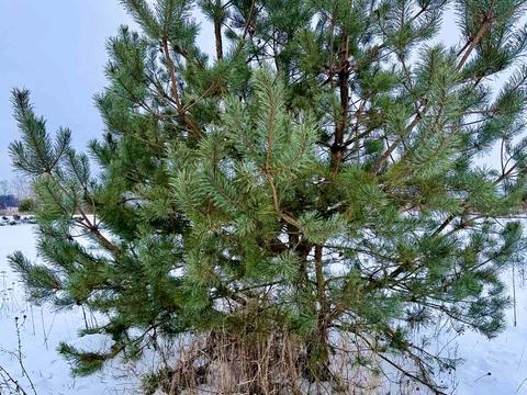 участок по адресу  ул.