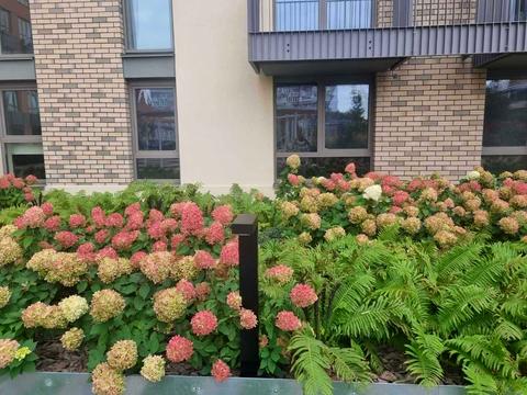 квартира за адресою Вавилових вул., 11