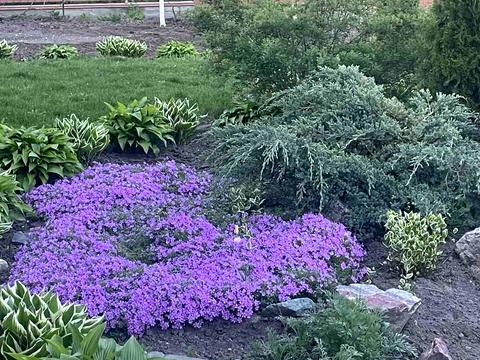 будинок за адресою Прибузький провулок