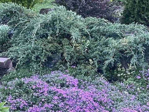 будинок за адресою Прибузький провулок