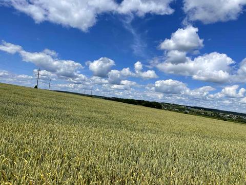 участок по адресу 