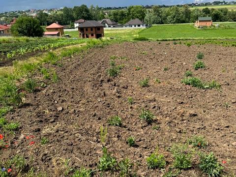 ділянка за адресою Європейська