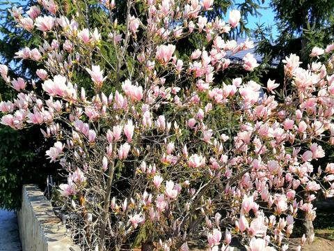 будинок за адресою Столичне шосе