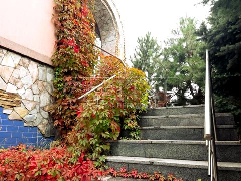 будинок за адресою Київ, Добровольчих Батальйонів вул. (Панфіловців)