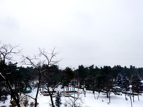 квартира по адресу Князя Романа Мстиславича ул. (Генерала Жмаченка), 16