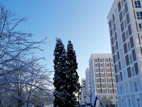 квартира по адресу Коцюбинского ул., 9