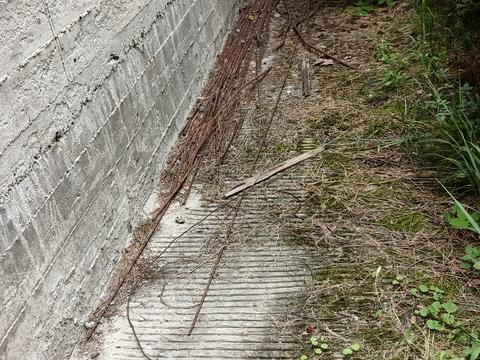 будинок за адресою Лісова