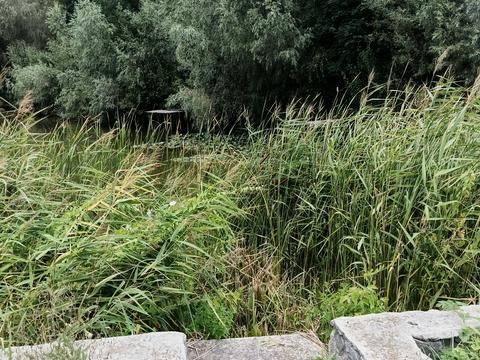 будинок за адресою Лісова