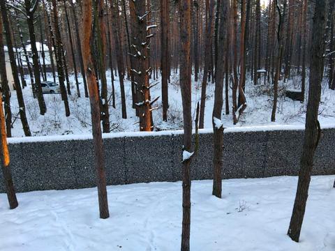 будинок за адресою Борова вул.