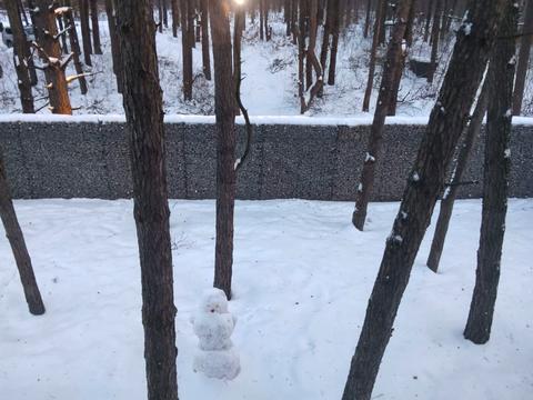 будинок за адресою Борова вул.