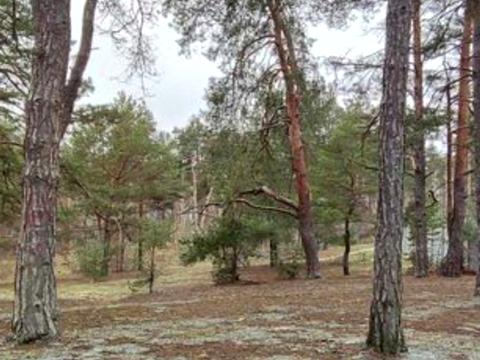 ділянка за адресою 10-та Лінія вул.