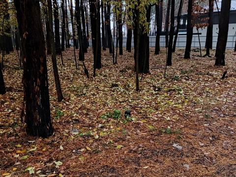 участок по адресу Боровая ул.