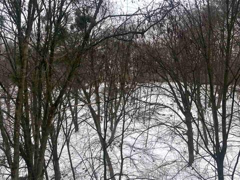 квартира за адресою Василя Стуса вул. (Островського), 14