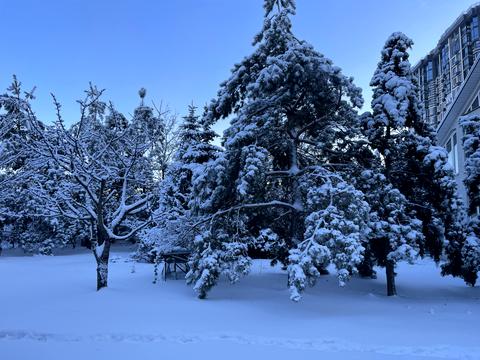 будинок за адресою Лесі Українки вул.