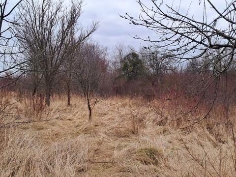 участок по адресу 