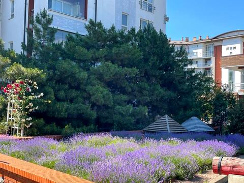 квартира по адресу Успенская ул. (Чичерина), 2