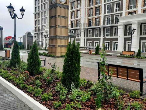 квартира за адресою Михайла Максимовича вул. (Онуфрія Трутенка), (Будинок «Віндзор»)