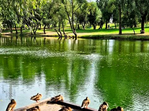 квартира за адресою Миколи Закревського вул., 23