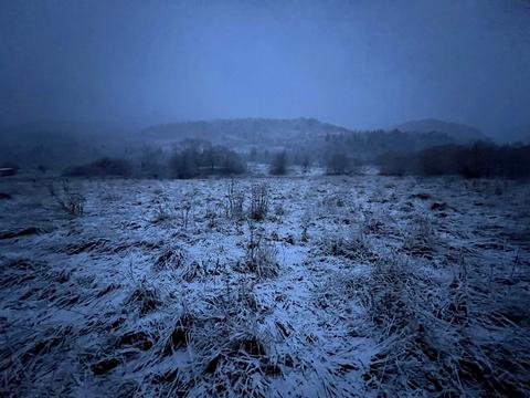 ділянка за адресою с. Довге, Тараса Шевченка вул.