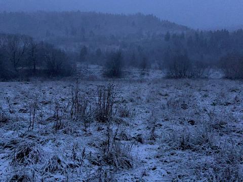 ділянка за адресою с. Довге, Тараса Шевченка вул.